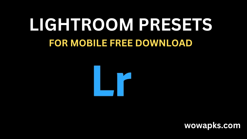 Lightroom presets for mobile