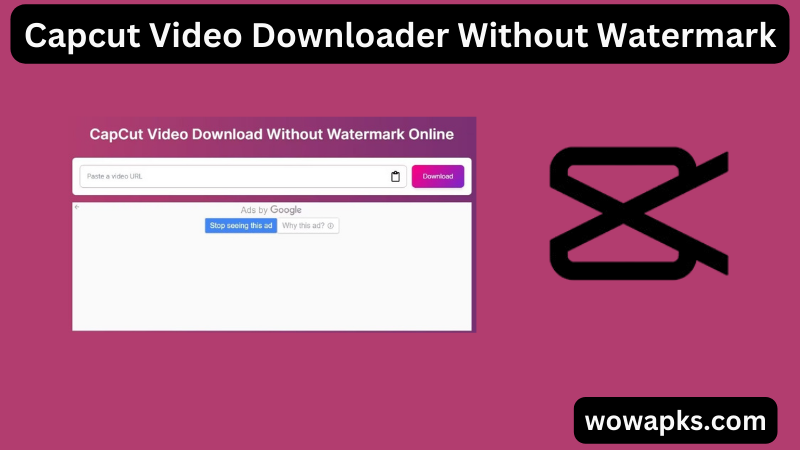 Capcut Video Downloader Without Watermark