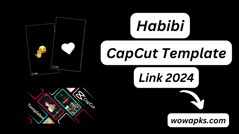 Habibi CapCut Template Link